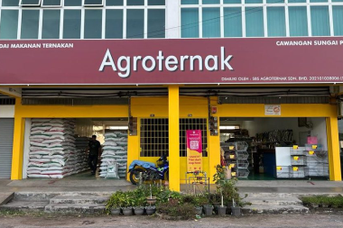 Sg Petani 380px x 253px