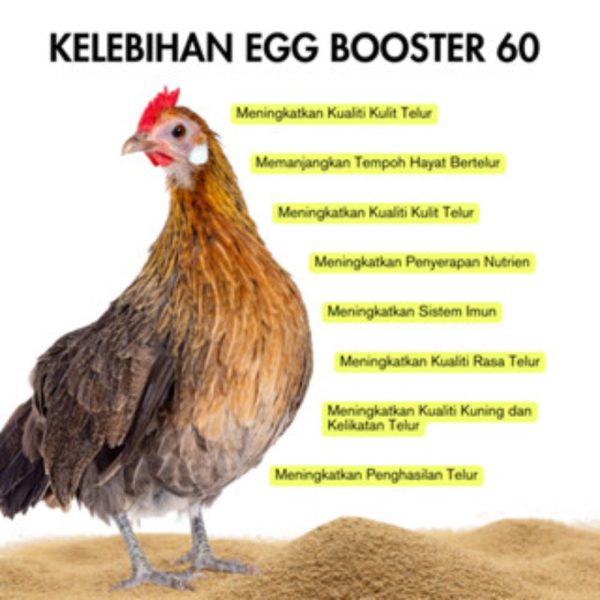 Egg Booster 3