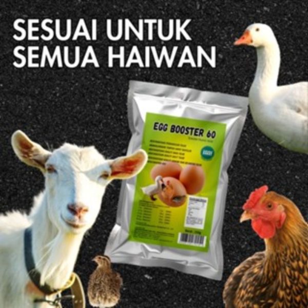Egg Booster 4