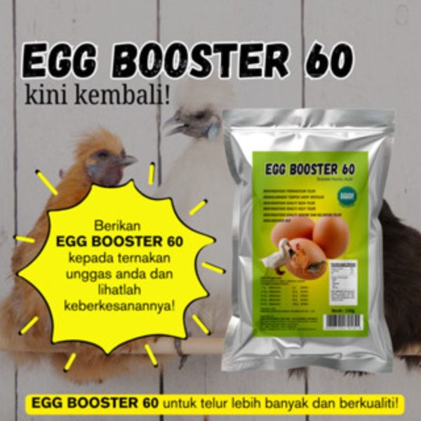 Egg Booster 8