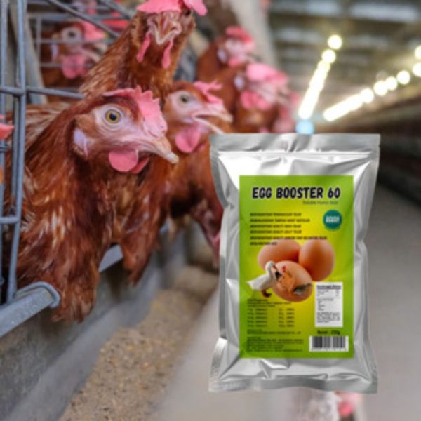 Egg Booster 9