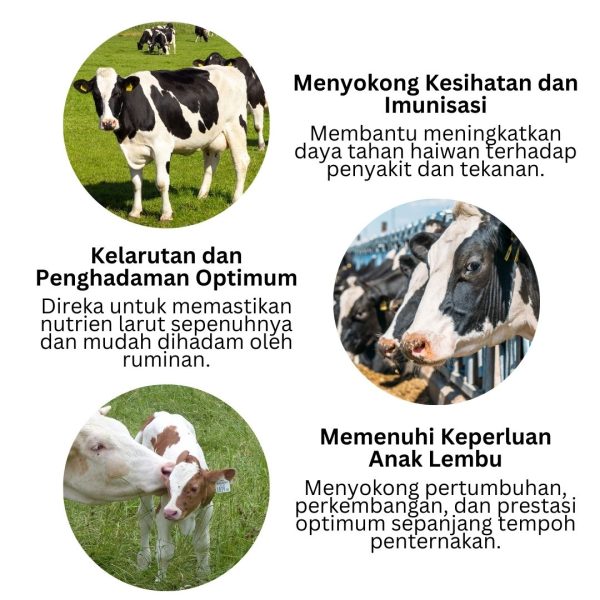 Susu Lembu Premier Feed Milk Plus | SBS Agroternak | 1Kg