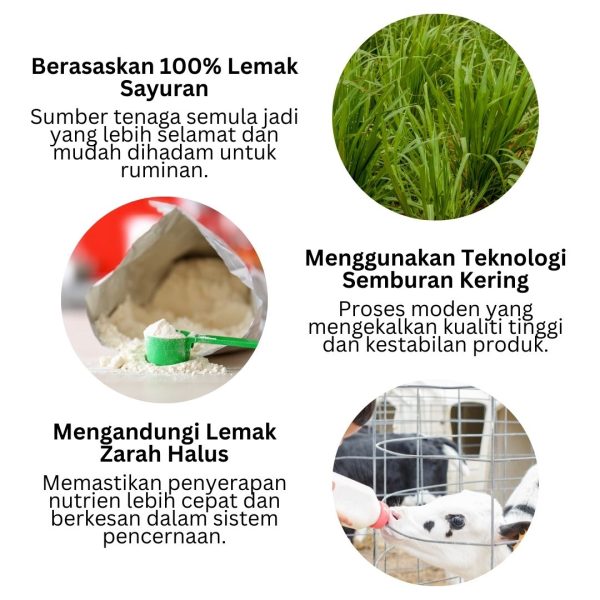 Susu Lembu Premier Feed Milk Plus | SBS Agroternak | 1Kg