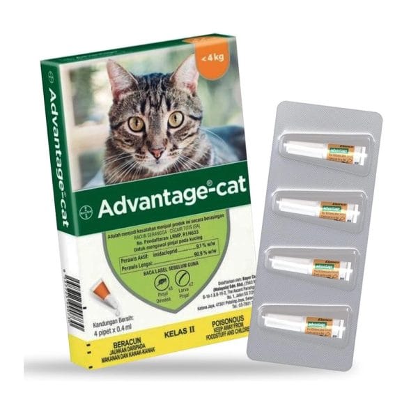 Rawatan Kutu Kucing | Advantage Cat Spot On Fleas Treatment For Cats