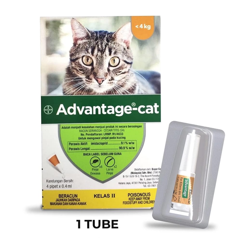 Rawatan Kutu Kucing | Advantage Cat Spot On Fleas Treatment For Cats