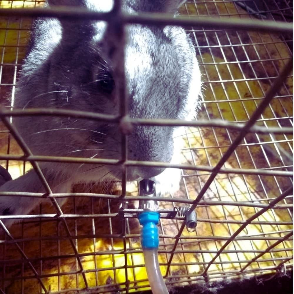 Paip Minuman Arnab Automatik | Rabbit Nipple Drinker Automatic - Image 8