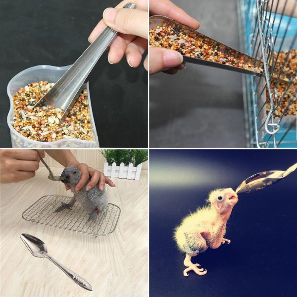 Sudu Makanan Burung Keluli Tahan Karat - Bird Feeder Stainless Steel Feeding Spoon