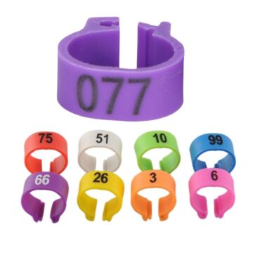 Cincin Kaki Burung Bernombor | Bird Foot Ring With Number