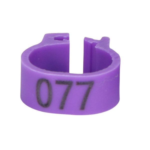 Cincin Kaki Burung Bernombor | Bird Foot Ring With Number