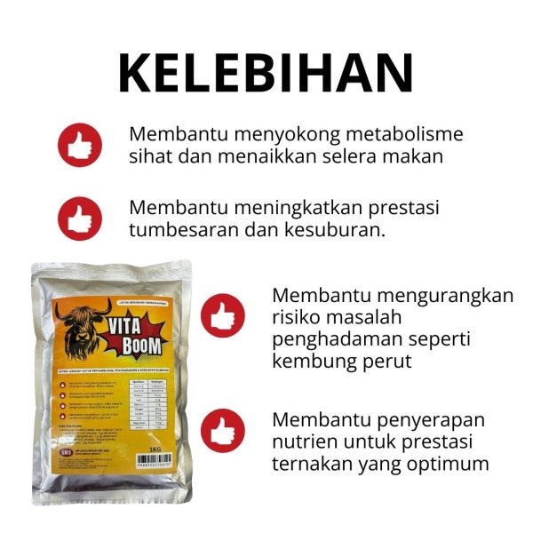 Vita Boom | Multi Vitamin | 1Kg - Image 2