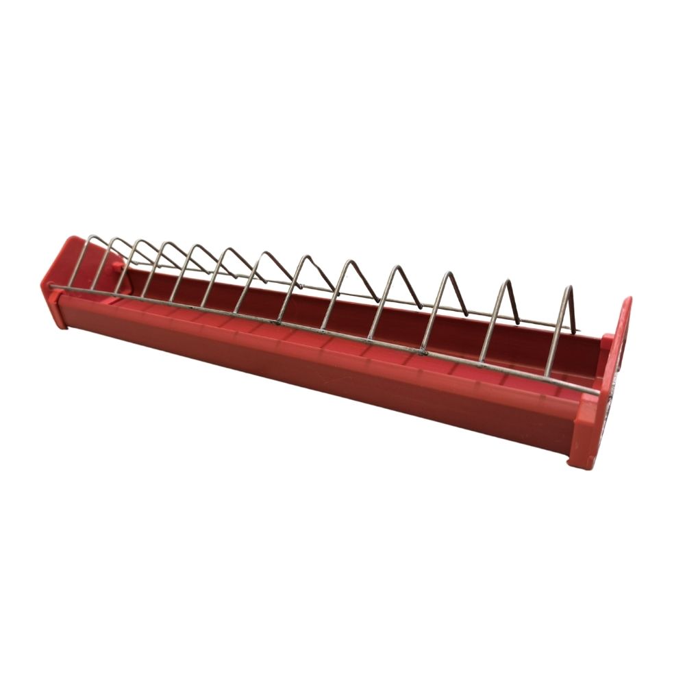 Bekas Makanan Anak Ayam & Unggas | 12 Inci