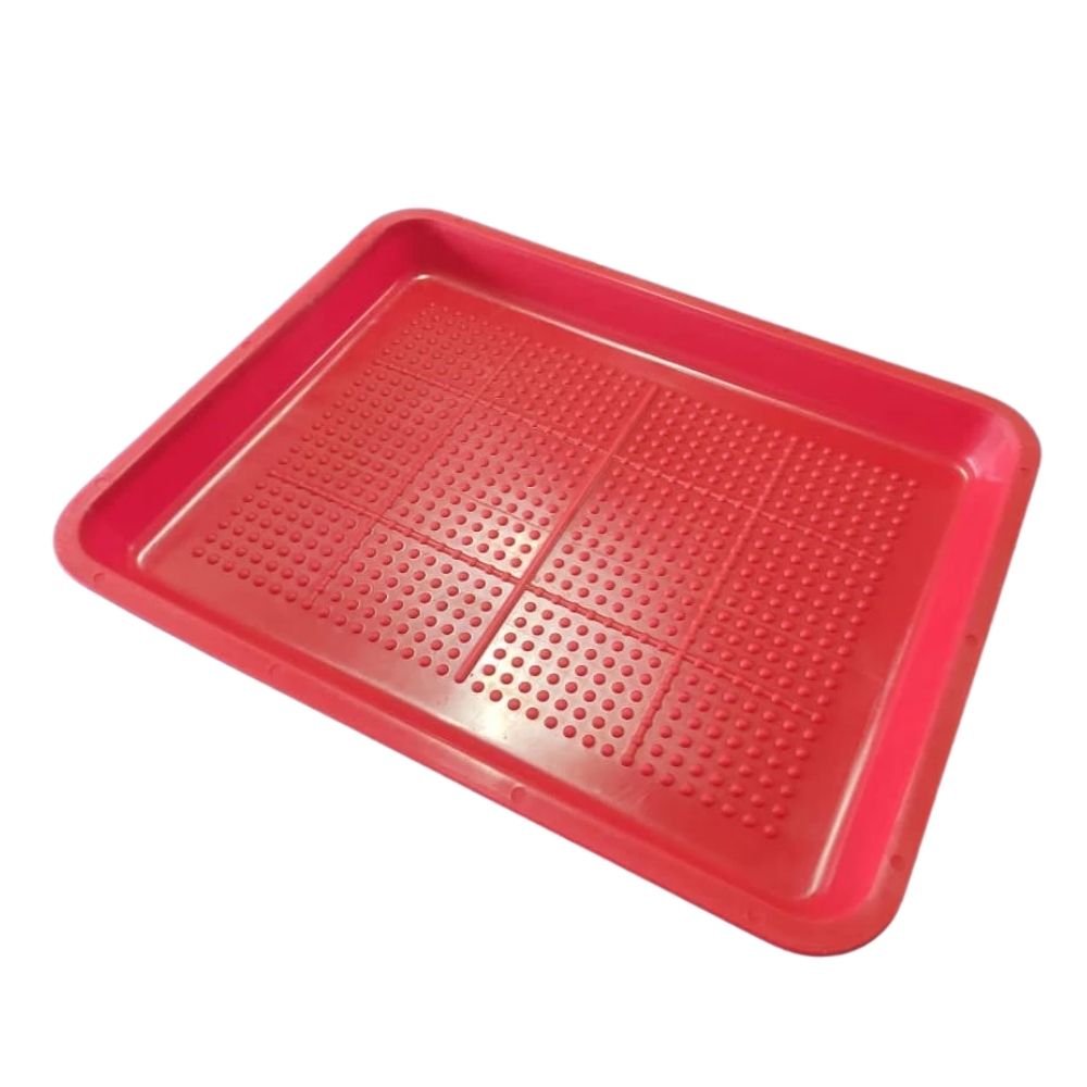 Dulang Makanan Ayam / Chick Tray