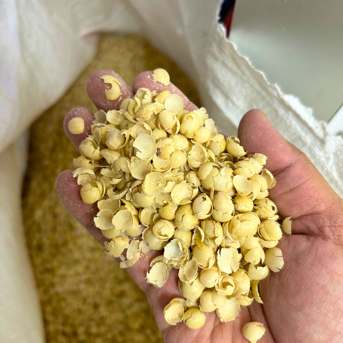 Dedak Makanan Haiwan Kulit Kacang Soya | 15Kg