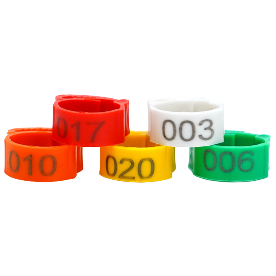 Cincin Kaki Ayam Bernombor | Chicken Foot Ring with Number | 10 Unit