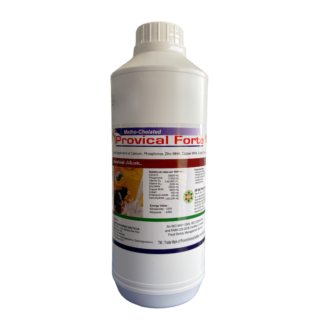 Provical Forte / Makanan Tambahan Ruminan | 1 Liter