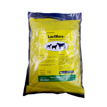 Lactmore Powder / Suplemen Untuk Pengeluaran Susu Ternakan | 1Kg